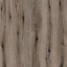 Fossil Evoke Oak Sample
