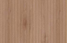 Natural Canella Strata Sample