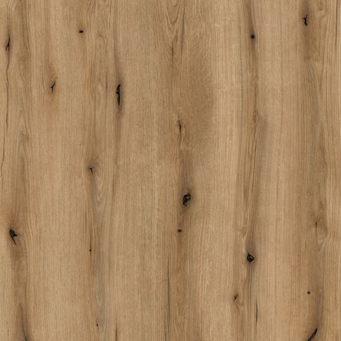 Coast Evoke Oak Sample