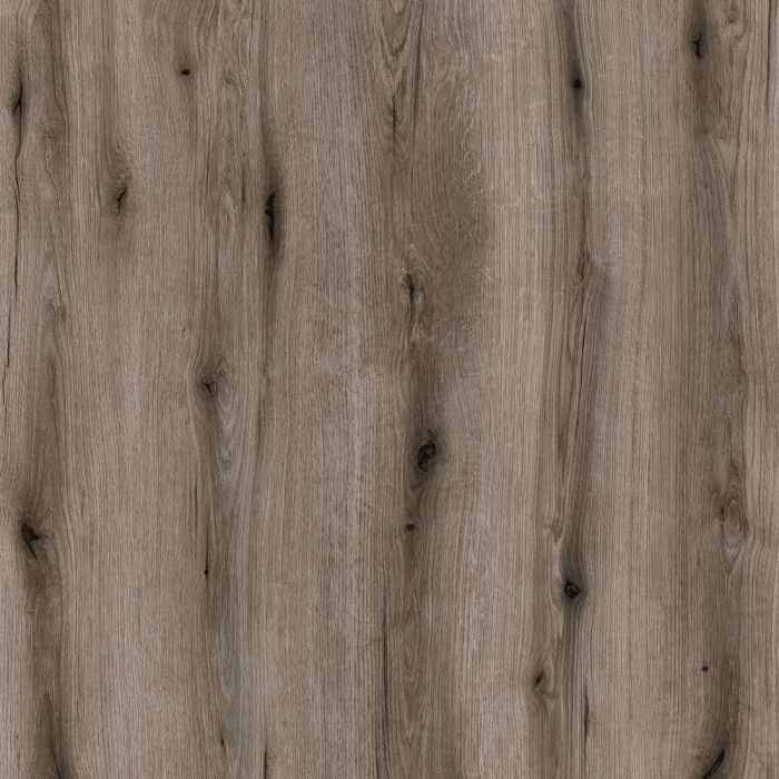 Fossil Evoke Oak Sample